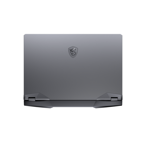 Laptop MSI Gaming GE66 Raider 10SF 044VN (i7-10750H, 16GB Ram, 1TB SSD, RTX 2070 8GB, 15.6 inch FHD 240Hz IPS, Win 10, Đen)