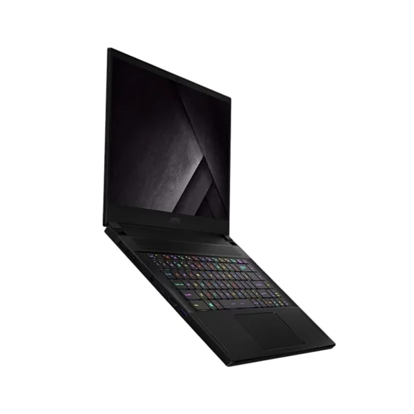 Laptop MSI GS66 Stealth 10SE 213VN (i7-10750H, 16GB Ram, 512GB SSD, 15.6 inch FHD 240Hz, RTX 2060 8GB, Win 10, Đen)