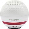 Loa SoundMax R100