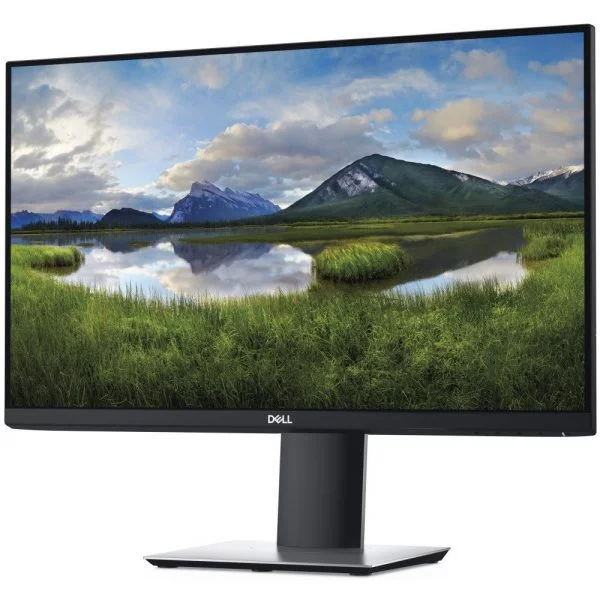 Màn Hình Dell P2421D 2K (23.8 inch, 2560 x 1440, IPS, 60Hz, 5ms)