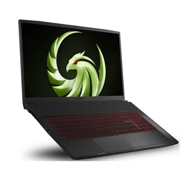 Laptop MSI Bravo 17 A4DDR 200VN (R5 4600H, 16GB Ram, 512GB SSD, RX 5500M 4GB, 17.3 inch FHD 144Hz, Win 10, Black)