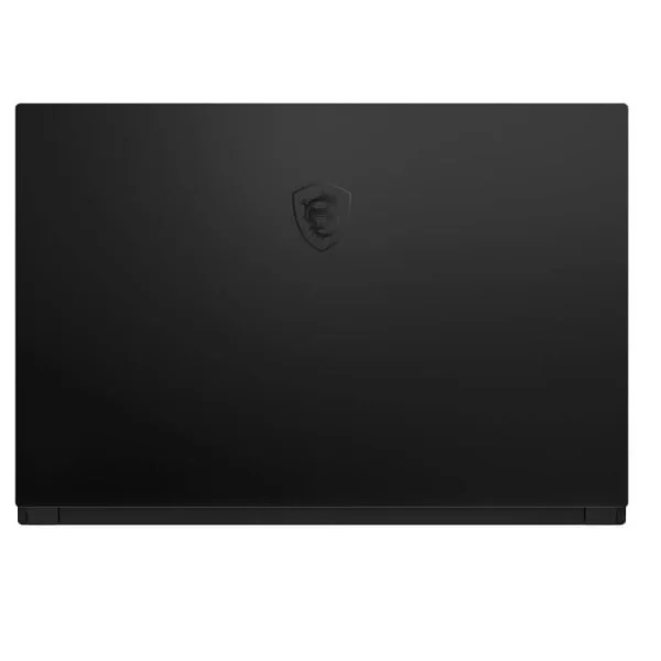 Laptop MSI GS66 Stealth 10UE 200VN (i7-10870H, 16GB Ram, 2TB SSD, RTX 3060 6GB, 15.6 inch FHD IPS 300Hz, Win 10, Black)