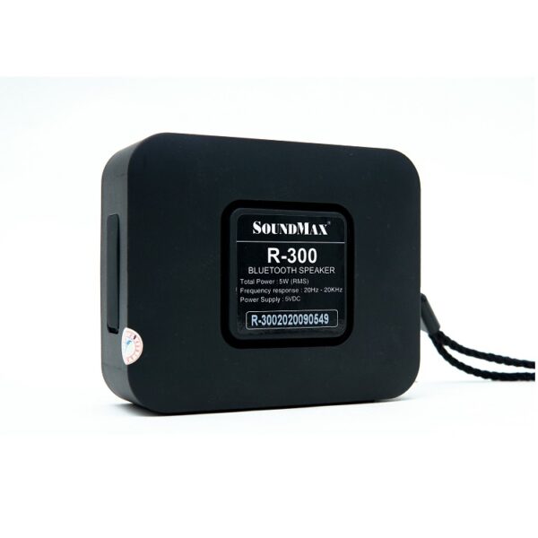 Loa SoundMax R-300