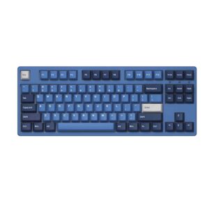 Bàn phím cơ Akko 3087 v2 DS Ocean Star