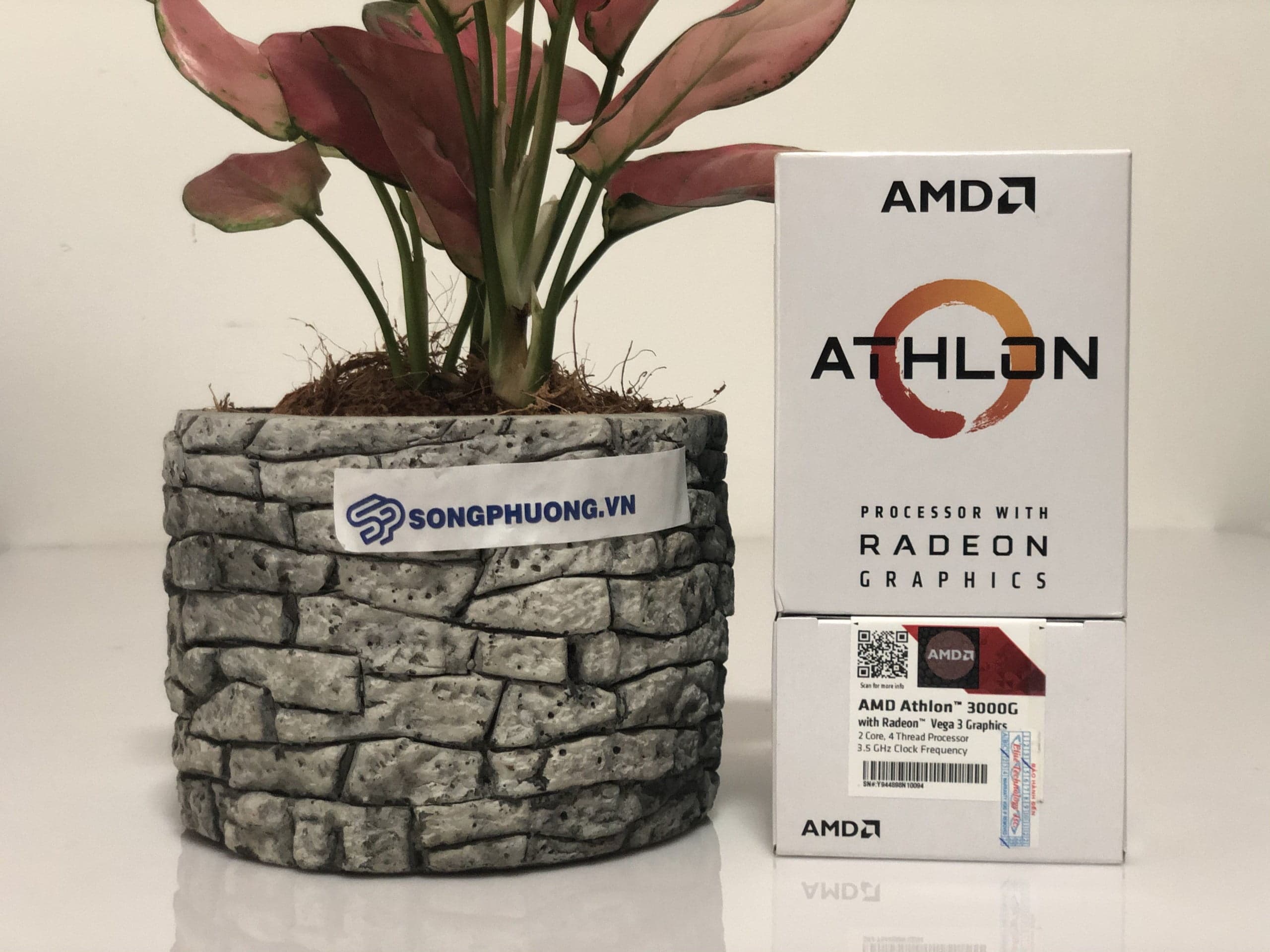 AMD ATHLON 3000G