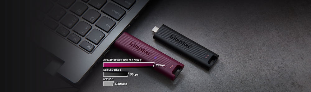 USB Kingston Data Traveler Max 256GB Type C 