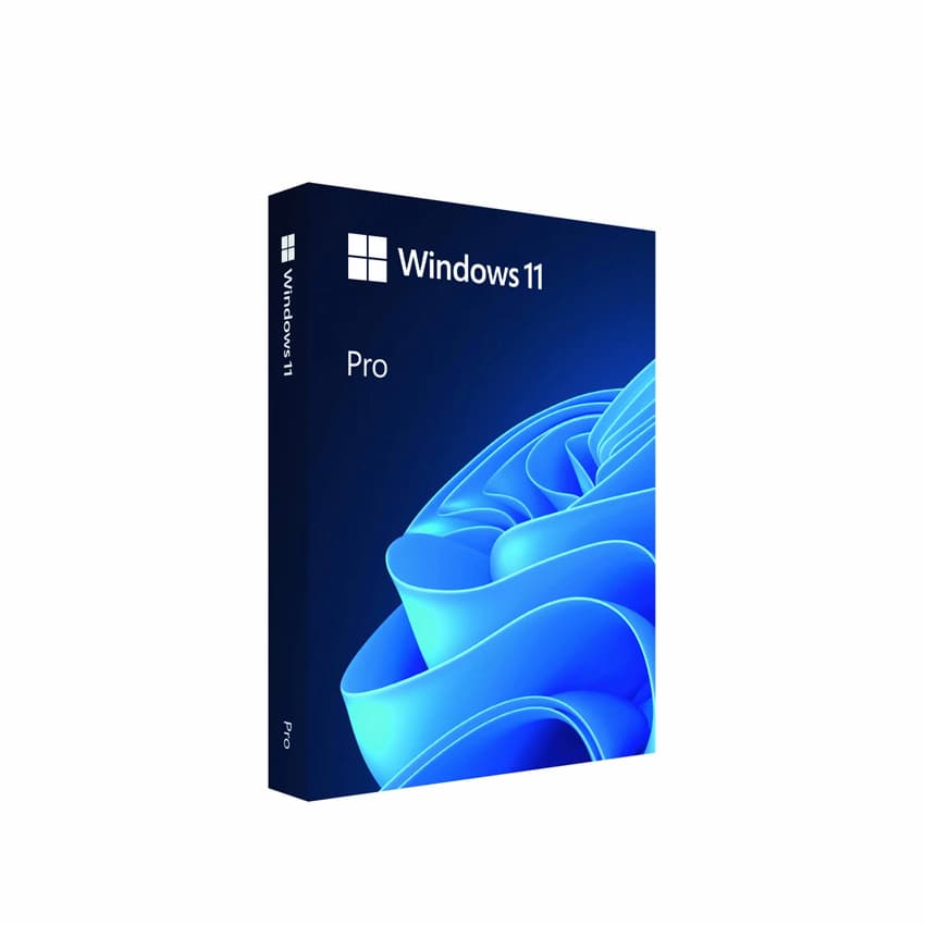 Windows Pro FPP 11 64 Bit English Intl USB (HAV-00163)