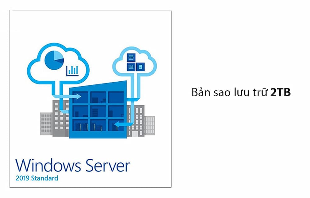 Windows Server 2019 64 Bit English OEI DVD -3