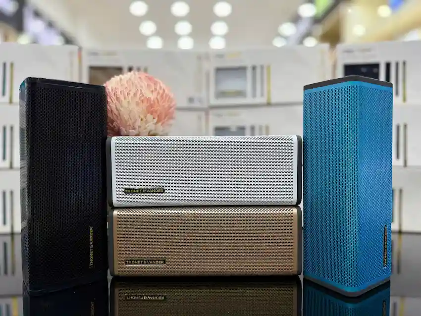 Loa Bluetooth Thonet & Vander FREI TWS TOPP