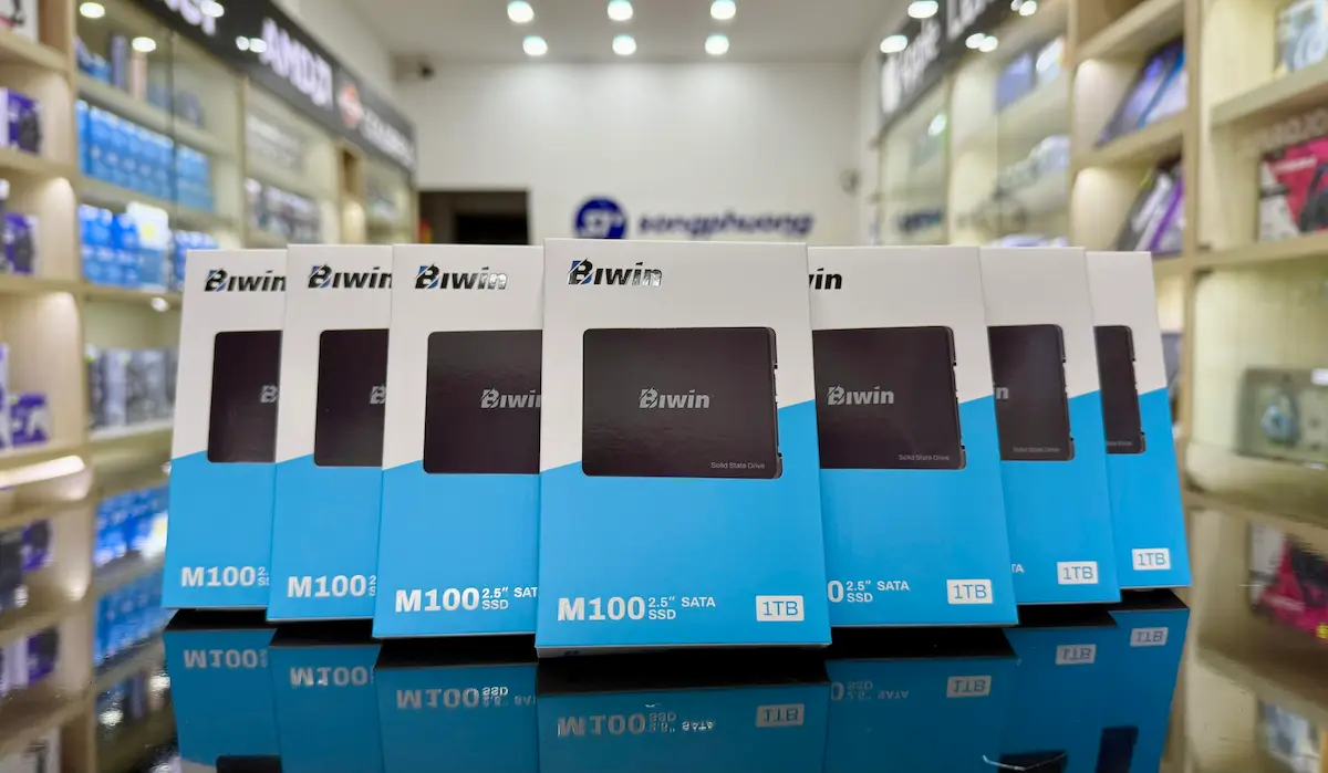 SSD Biwin M100 1TB