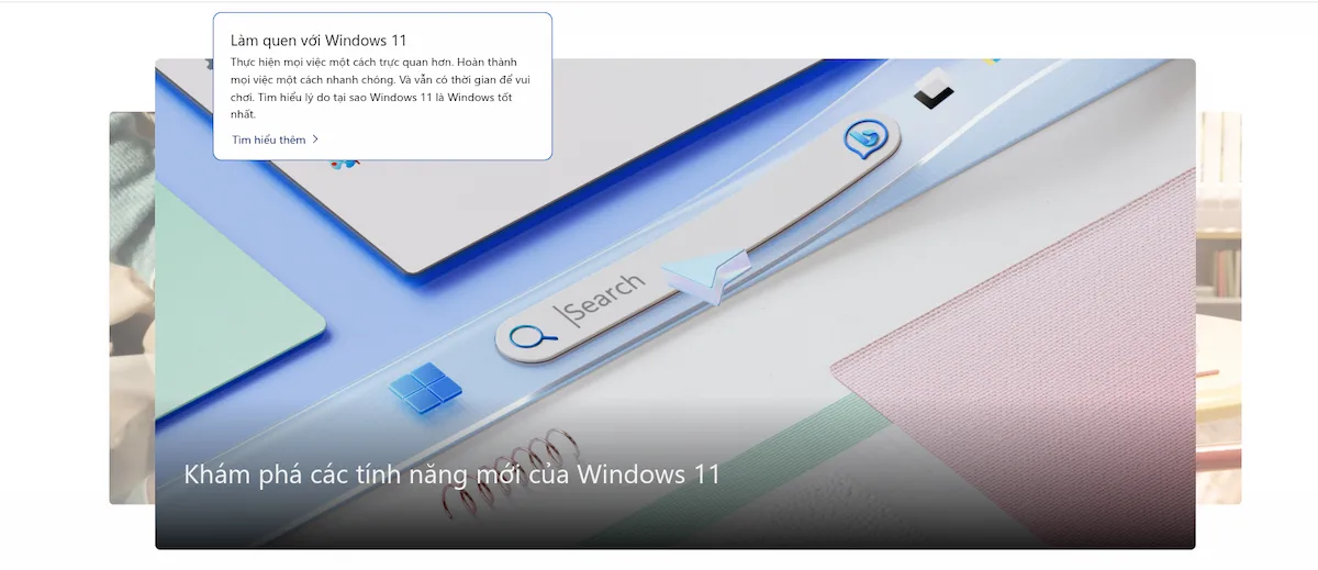 Windows 11