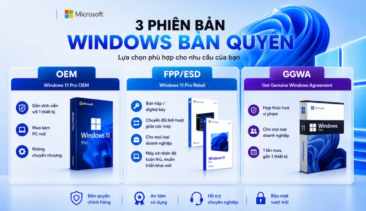 Các Hình Thức Windows Bản Quyền Phổ Biến Các Hình Thức Windows Bản Quyền Phổ Biến