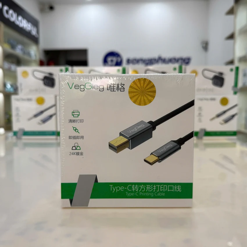 Cáp máy in Type C VegGieg V-U404